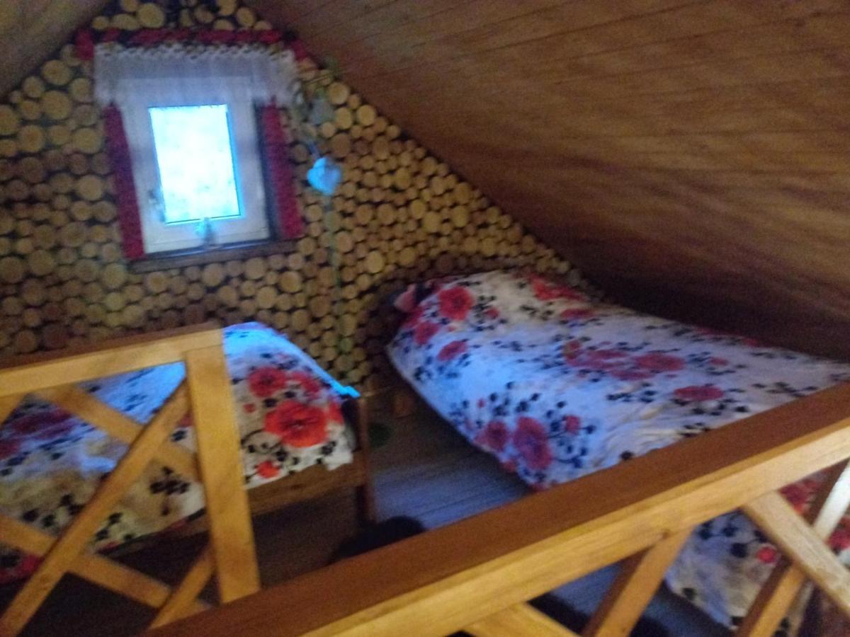 Domek Na Skarpie Zubrzyca Dolna Ngoại thất bức ảnh